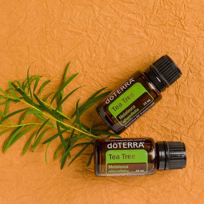 Doterra Teafa (Tea tree) illóolaj 15 ml