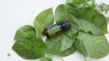 Doterra Teafa (Tea tree) illóolaj 15 ml