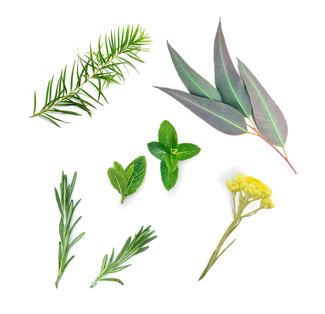 Doterra deep blue illóolaj keverék mi van benne